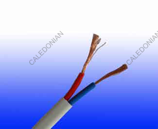 Fire Alarm System 
Detector Cable